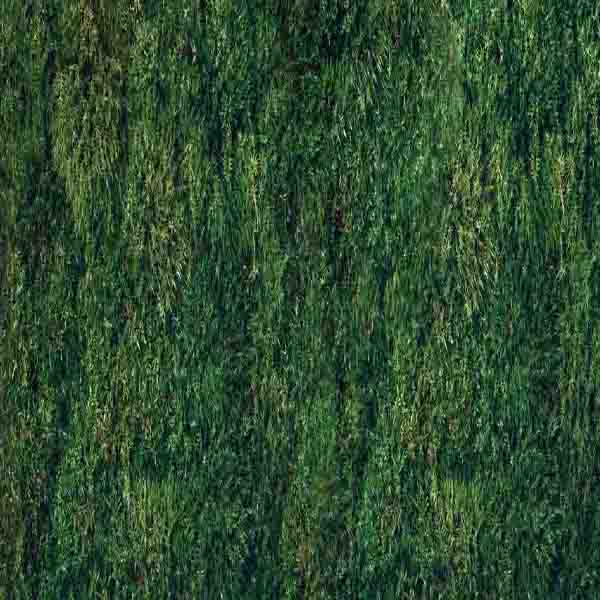 Natural Green Moss will make a perfect background for any fresh or salt water tank or aquarium as well as dry terrariums.