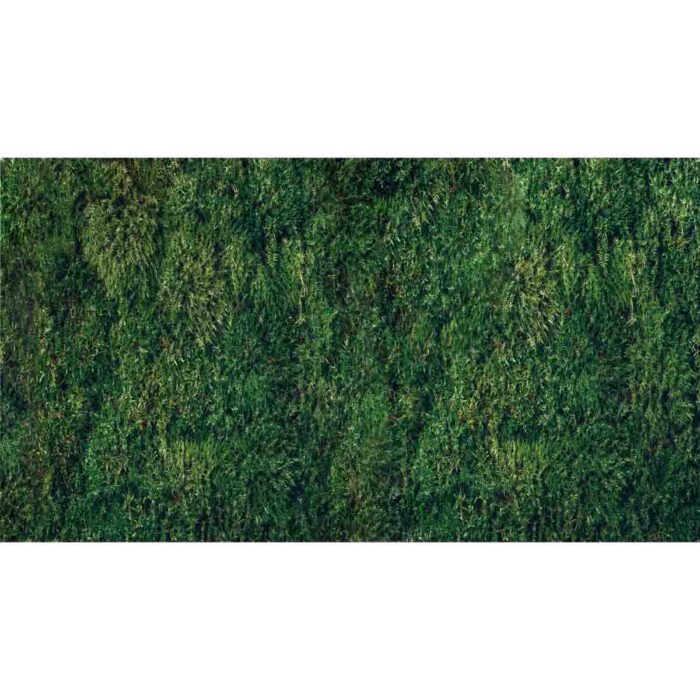 Natural Green Moss will make a perfect background for any fresh or salt water tank or aquarium as well as dry terrariums.