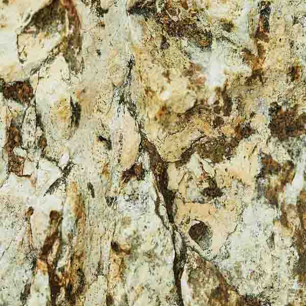 Natural Stone Surface will make a perfect background for any fresh or salt water tank or aquarium as well as dry terrariums.