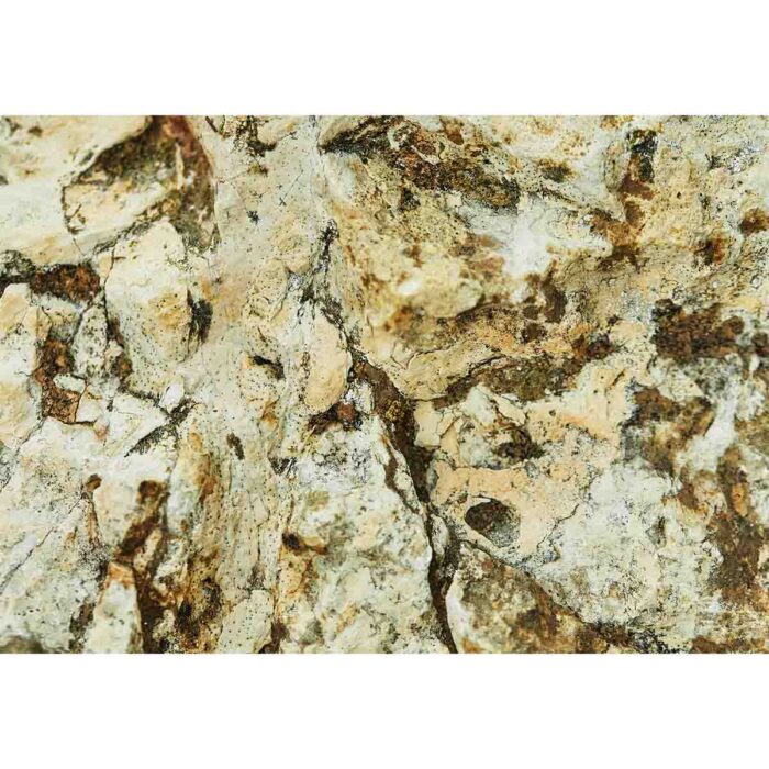 Natural Stone Surface will make a perfect background for any fresh or salt water tank or aquarium as well as dry terrariums.