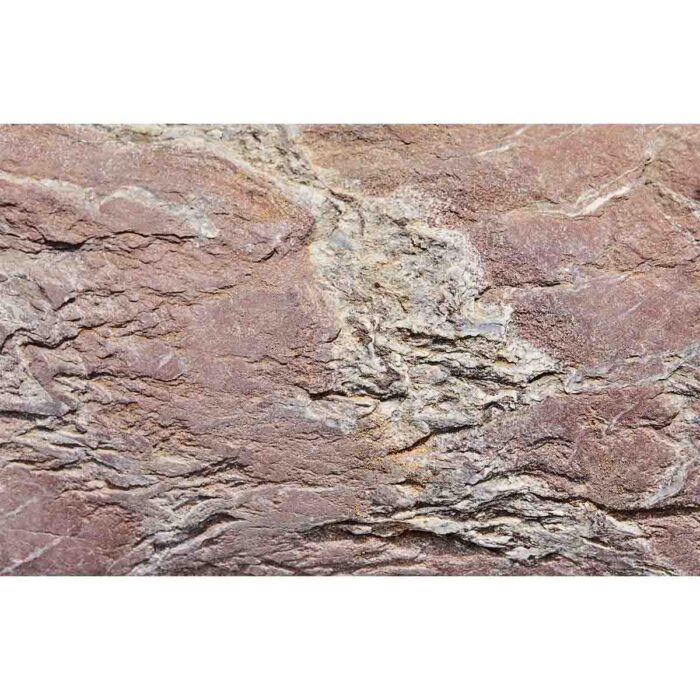 Natural Surface Stone will make a perfect background for any fresh or salt water tank or aquarium as well as dry terrariums.