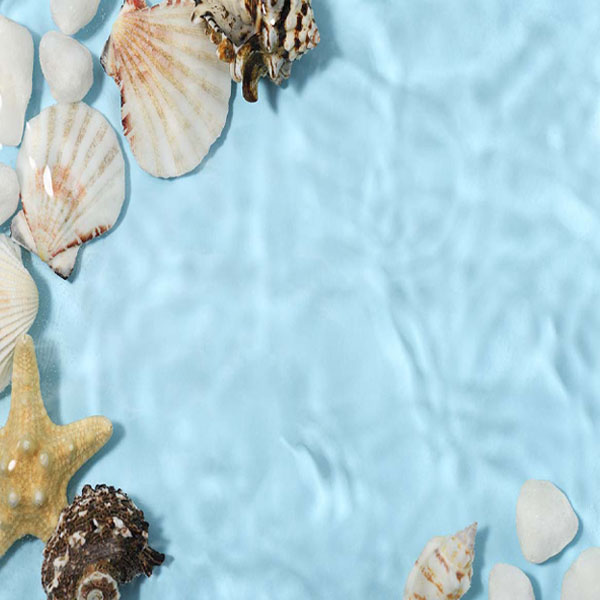 Ocean Bottom Seashells will make a perfect background for any fresh or salt water tank or aquarium as well as dry terrariums.