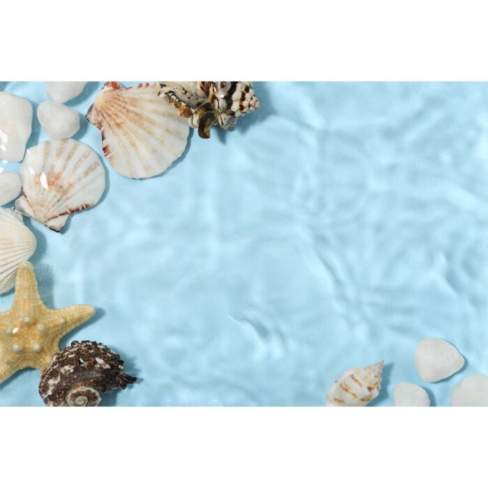 Ocean Bottom Seashells will make a perfect background for any fresh or salt water tank or aquarium as well as dry terrariums.