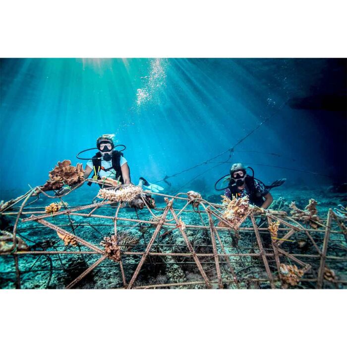 Ocean Scuba Fence will make a perfect background for any fresh or salt water tank or aquarium as well as dry terrariums.