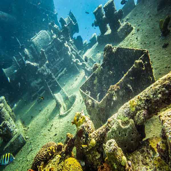 Ocean Shipwreck Adventure will make a perfect background for any fresh or salt water tank or aquarium as well as dry terrariums.