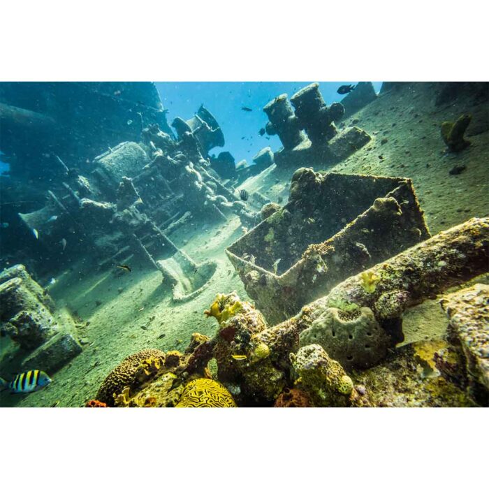 Ocean Shipwreck Adventure will make a perfect background for any fresh or salt water tank or aquarium as well as dry terrariums.