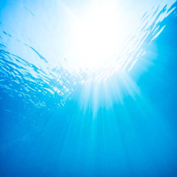 Ocean Sunlight Underwater will make a perfect background for any fresh or salt water tank or aquarium as well as dry terrariums.