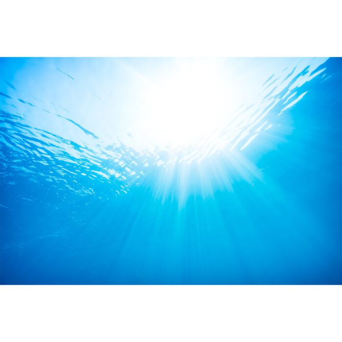 Ocean Sunlight Underwater will make a perfect background for any fresh or salt water tank or aquarium as well as dry terrariums.