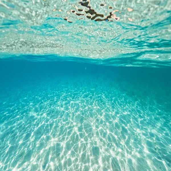 Ocean Underwater View will make a perfect background for any fresh or salt water tank or aquarium as well as dry terrariums.