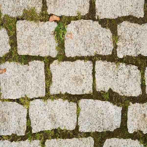 Old Brick Moss will make a perfect background for any fresh or salt water tank or aquarium as well as dry terrariums.