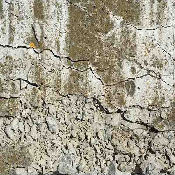 Old Dirty Cement will make a perfect background for any fresh or salt water tank or aquarium as well as dry terrariums.