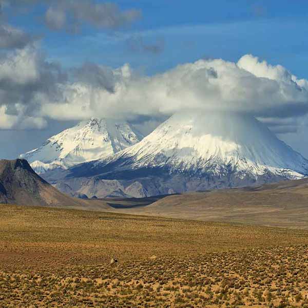 Parinacota Pomerape Volcano II will make a perfect background for any fresh or salt water tank or aquarium as well as dry terrariums.