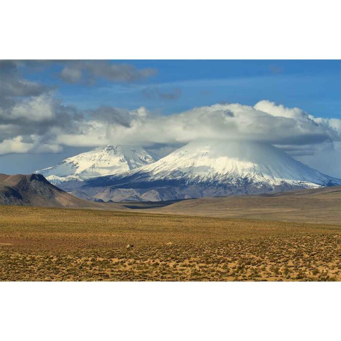 Parinacota Pomerape Volcano II will make a perfect background for any fresh or salt water tank or aquarium as well as dry terrariums.