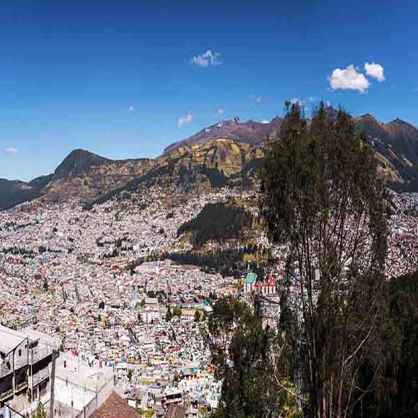 Pichincha Volcano City will make a perfect background for any fresh or salt water tank or aquarium as well as dry terrariums.