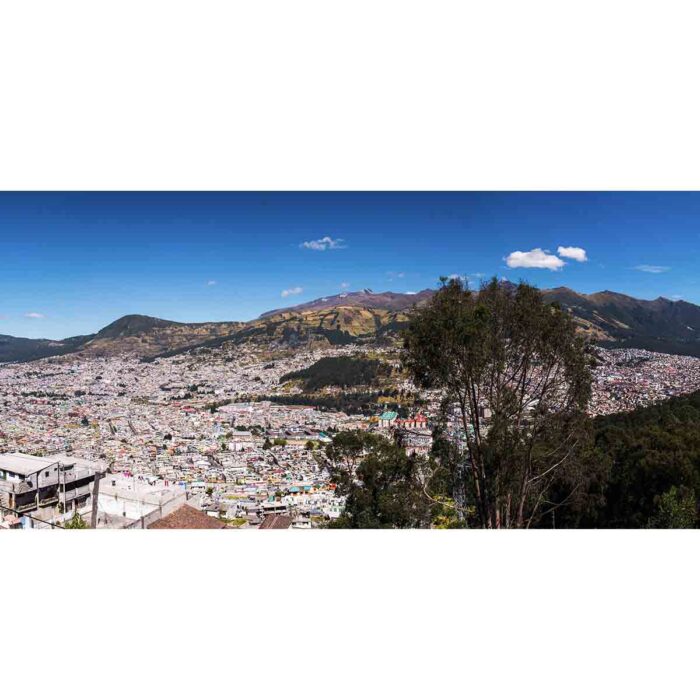 Pichincha Volcano City will make a perfect background for any fresh or salt water tank or aquarium as well as dry terrariums.