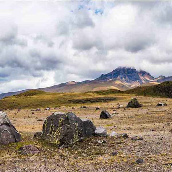 Province Ecuador Volcano will make a perfect background for any fresh or salt water tank or aquarium as well as dry terrariums.