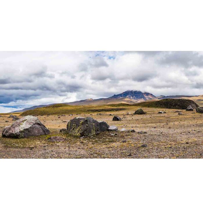 Province Ecuador Volcano will make a perfect background for any fresh or salt water tank or aquarium as well as dry terrariums.