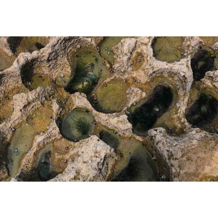 Rock Formation Water will make a perfect background for any fresh or salt water tank or aquarium as well as dry terrariums.