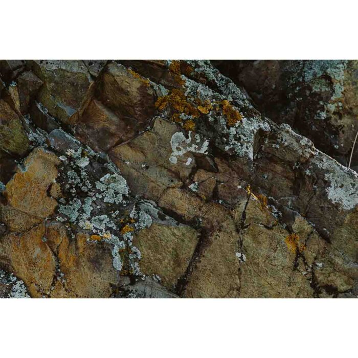 Rough Mountain Rock will make a perfect background for any fresh or salt water tank or aquarium as well as dry terrariums.