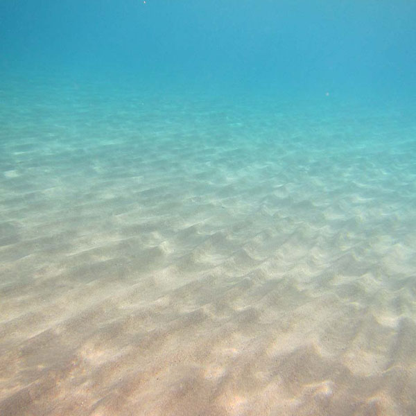 Sea Sand Underwater will make a perfect background for any fresh or salt water tank or aquarium as well as dry terrariums.