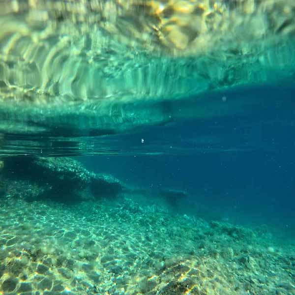 Shallow Ocean Underwater will make a perfect background for any fresh or salt water tank or aquarium as well as dry terrariums.