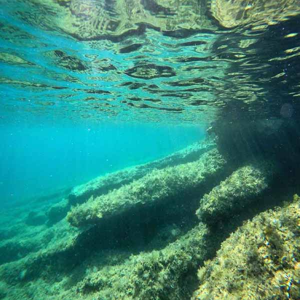 Shallow Underwater Ocean will make a perfect background for any fresh or salt water tank or aquarium as well as dry terrariums.