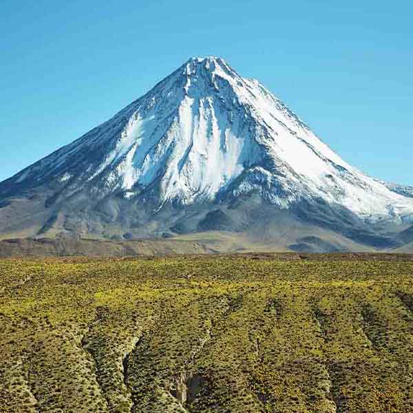 Snowy Licancabur Volcano will make a perfect background for any fresh or salt water tank or aquarium as well as dry terrariums.