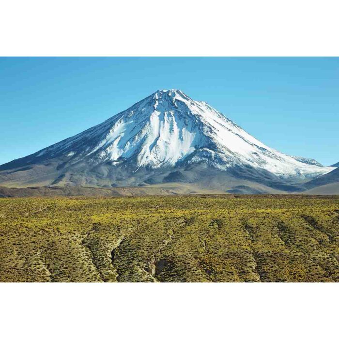 Snowy Licancabur Volcano will make a perfect background for any fresh or salt water tank or aquarium as well as dry terrariums.