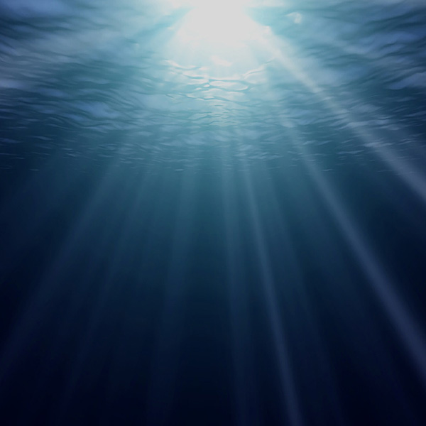 Sun Rays Underwater will make a perfect background for any fresh or salt water tank or aquarium as well as dry terrariums.