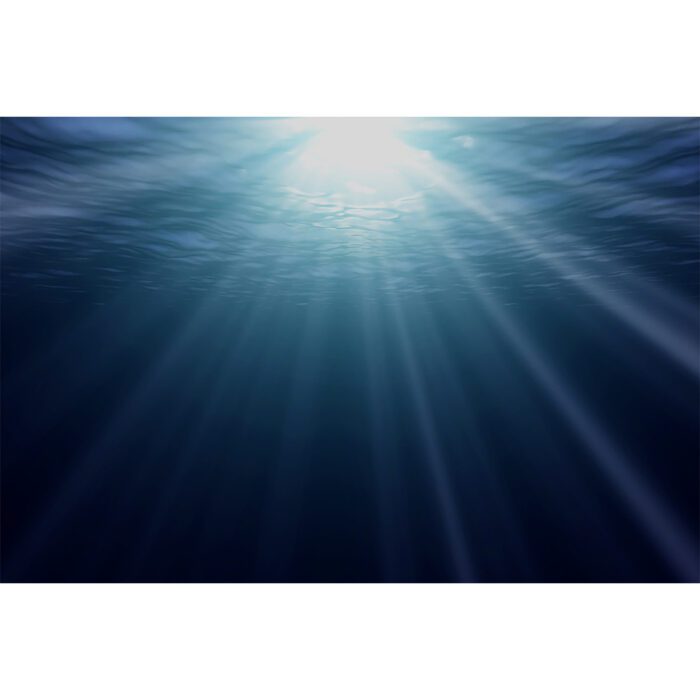 Sun Rays Underwater will make a perfect background for any fresh or salt water tank or aquarium as well as dry terrariums.