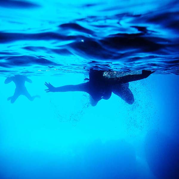 Swimming Silhouettes Underwater will make a perfect background for any fresh or salt water tank or aquarium as well as dry terrariums.