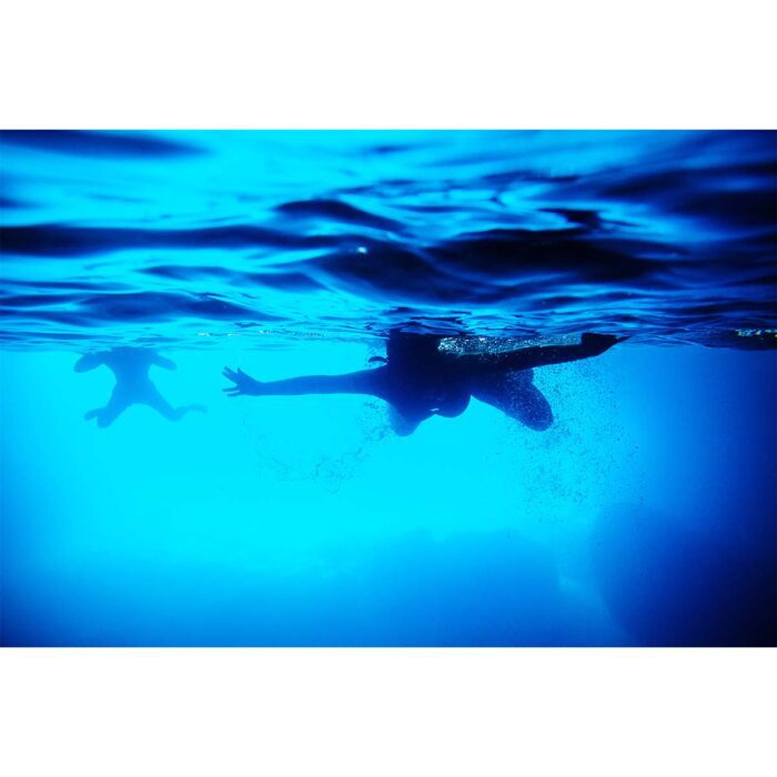 Swimming Silhouettes Underwater will make a perfect background for any fresh or salt water tank or aquarium as well as dry terrariums.