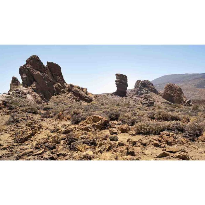 Teide Volcano Park will make a perfect background for any fresh or salt water tank or aquarium as well as dry terrariums.