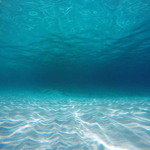 Tranquil Underwater Scene will make a perfect background for any fresh or salt water tank or aquarium as well as dry terrariums.