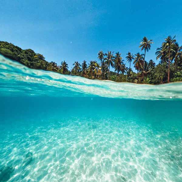 Tropical Underwater View will make a perfect background for any fresh or salt water tank or aquarium as well as dry terrariums.