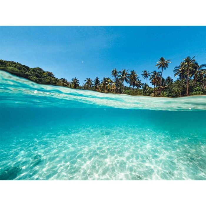 Tropical Underwater View will make a perfect background for any fresh or salt water tank or aquarium as well as dry terrariums.