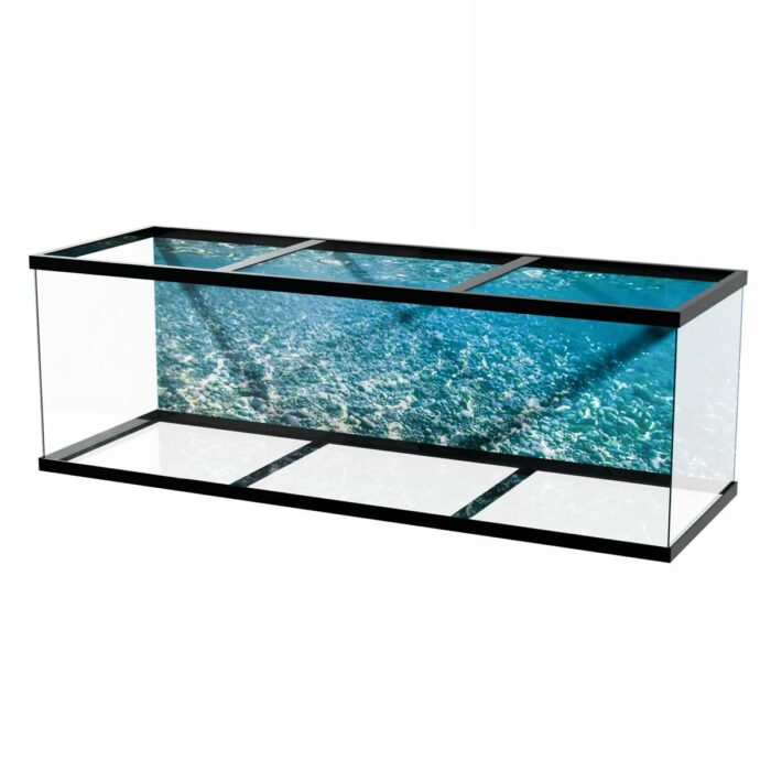 Shallow Water Seascape will make a perfect background for any fresh or salt water tank or aquarium as well as dry terrariums.