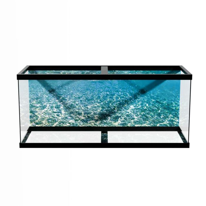 Shallow Water Seascape will make a perfect background for any fresh or salt water tank or aquarium as well as dry terrariums.