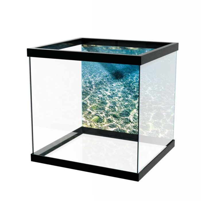 Shallow Water Seascape will make a perfect background for any fresh or salt water tank or aquarium as well as dry terrariums.