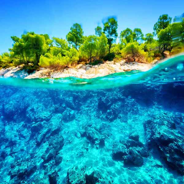 Underwater Coast View will make a perfect background for any fresh or salt water tank or aquarium as well as dry terrariums.