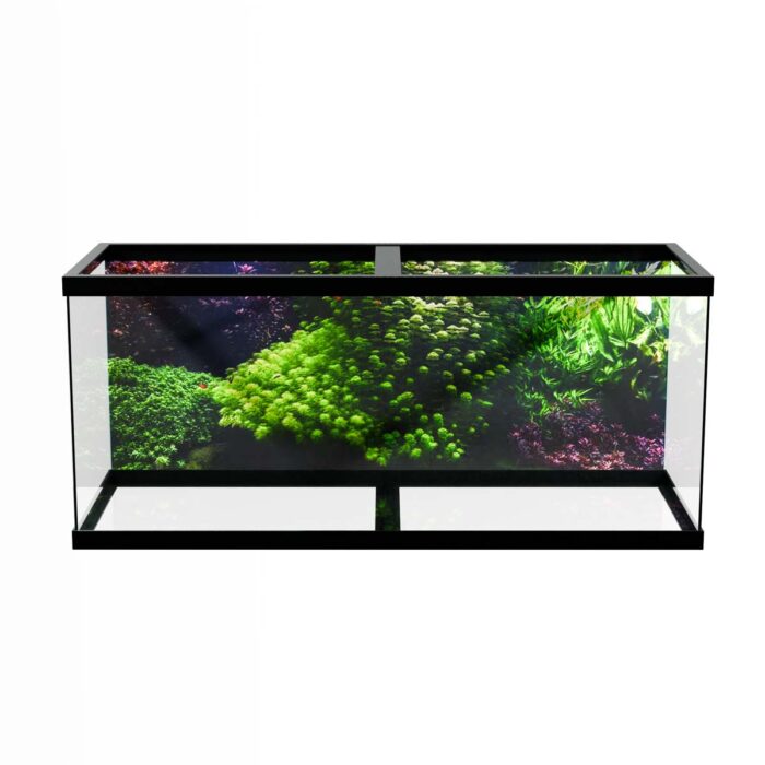 Underwater Colorful Plants will make a perfect background for any fresh or salt water tank or aquarium as well as dry terrariums.