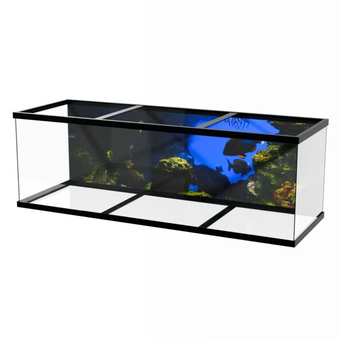 Underwater Fish View will make a perfect background for any fresh or salt water tank or aquarium as well as dry terrariums.