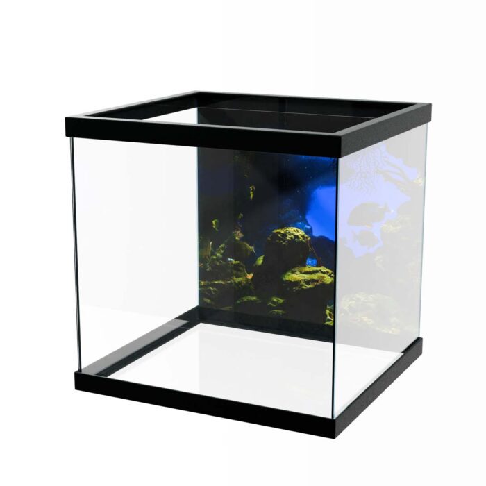 Underwater Fish View will make a perfect background for any fresh or salt water tank or aquarium as well as dry terrariums.