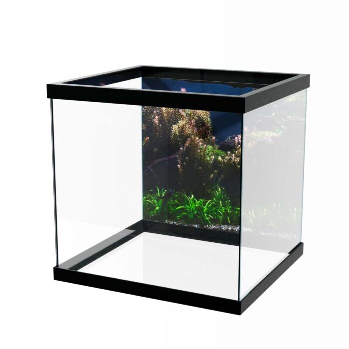 Underwater Fresh Fish will make a perfect background for any fresh or salt water tank or aquarium as well as dry terrariums.