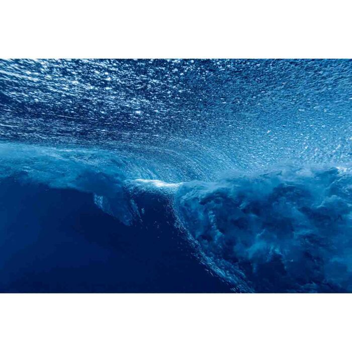 Underwater Ocean Wave will make a perfect background for any fresh or salt water tank or aquarium as well as dry terrariums.