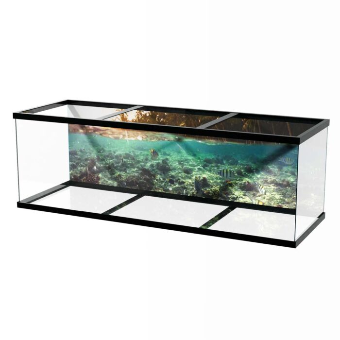 Underwater Reef Fish will make a perfect background for any fresh or salt water tank or aquarium as well as dry terrariums.