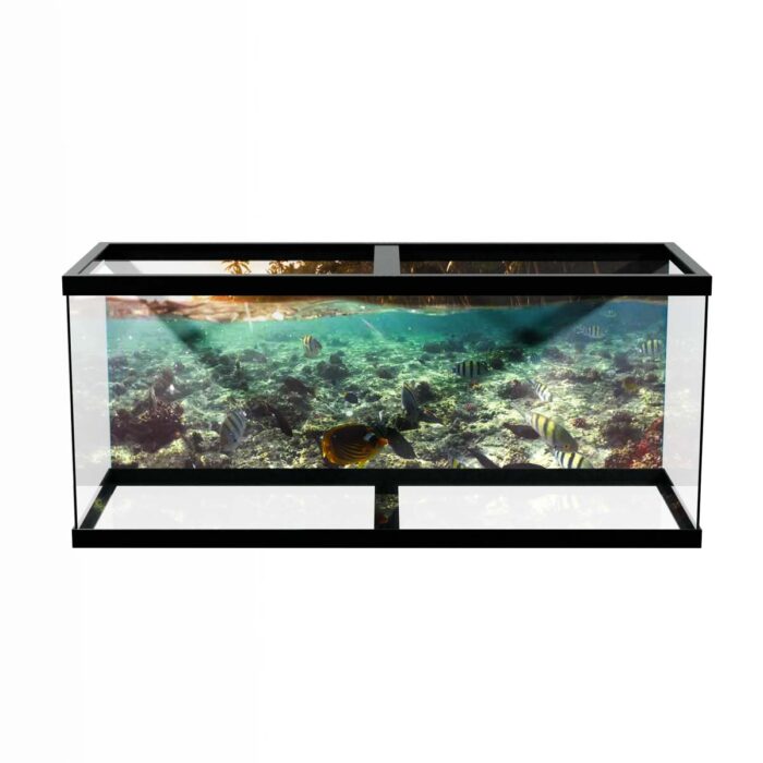 Underwater Reef Fish will make a perfect background for any fresh or salt water tank or aquarium as well as dry terrariums.