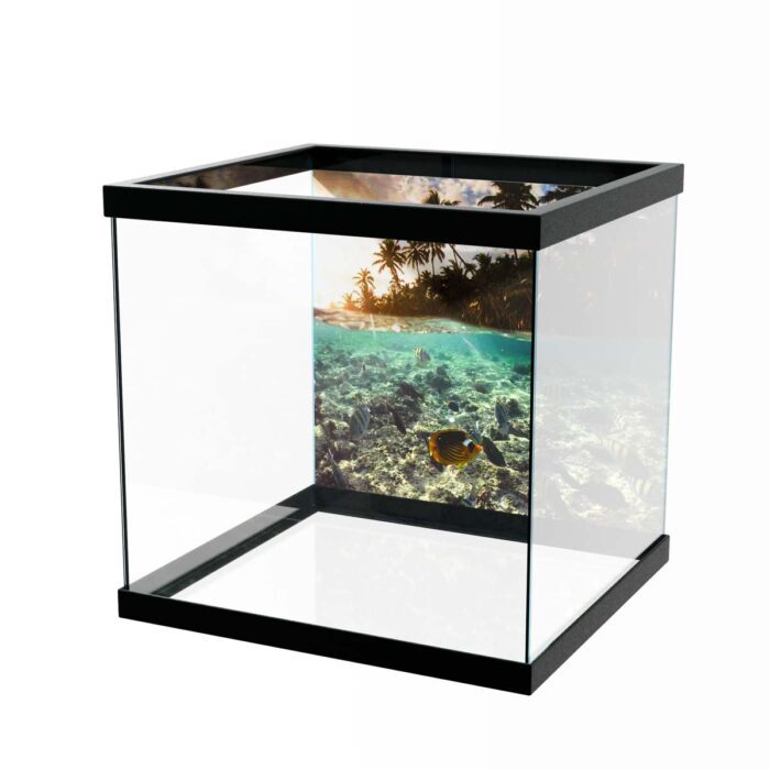 Underwater Reef Fish will make a perfect background for any fresh or salt water tank or aquarium as well as dry terrariums.