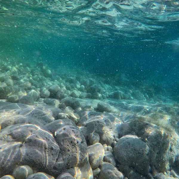 Underwater Rock Closeup will make a perfect background for any fresh or salt water tank or aquarium as well as dry terrariums.