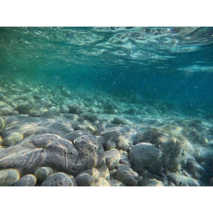 Underwater Rock Closeup will make a perfect background for any fresh or salt water tank or aquarium as well as dry terrariums.